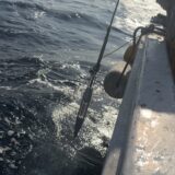 海洋生物衝突防止に向けた第2回集音実験実施