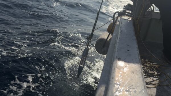 海洋生物衝突防止に向けた第2回集音実験実施